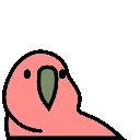 boredparrot